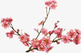 水墨画桃花免抠