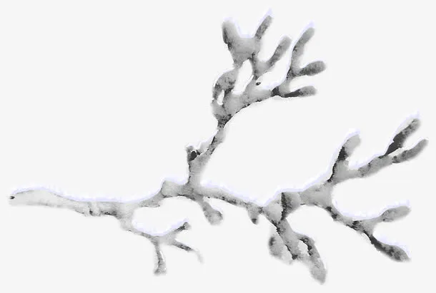 冰雪覆盖树枝免抠
