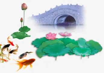 孔桥荷叶荷花鱼免抠