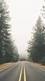 植物风景H5背景高清