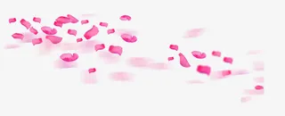 花瓣免抠