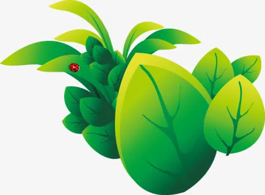 有七星瓢虫的树叶免抠