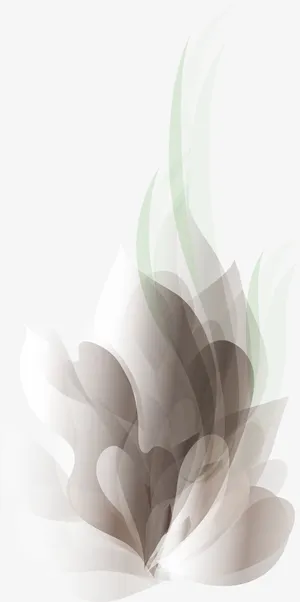 线描羽毛免抠png装饰免抠