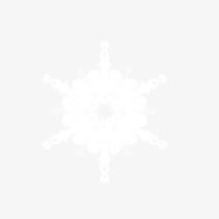 雪免抠