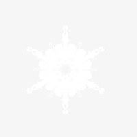 雪免抠