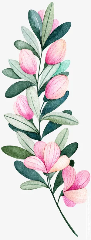 手绘 植物 树叶 装饰元素免抠