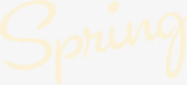 Spring免抠