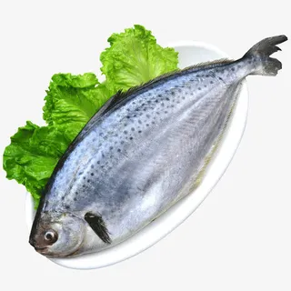 阿根廷进口雪花鲳免抠