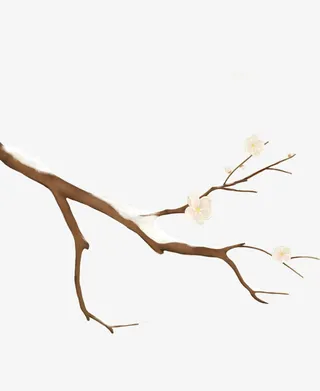 手绘积雪花枝免抠