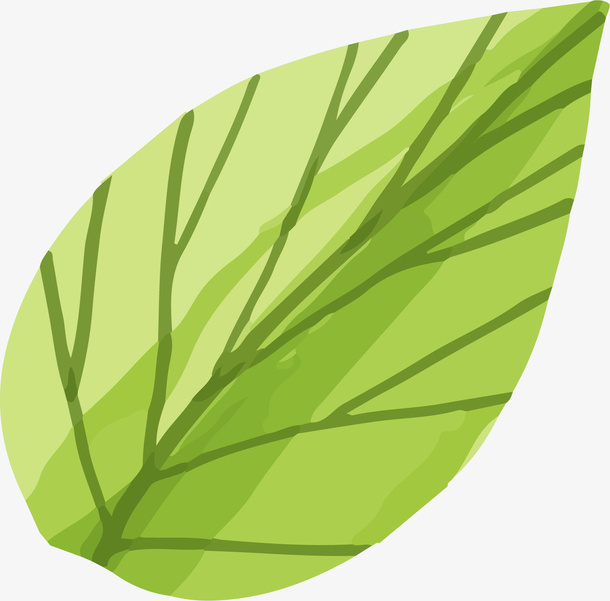 绿叶上的纹理免抠