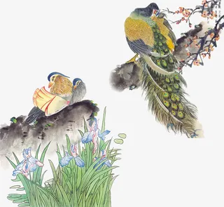 中国风花鸟素材免抠