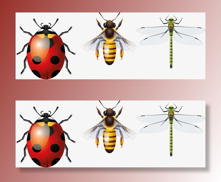 七星瓢虫蜜蜂蜻蜓免抠装饰动物元素