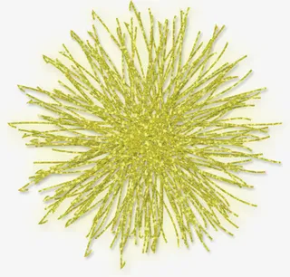 手工装饰花朵免抠