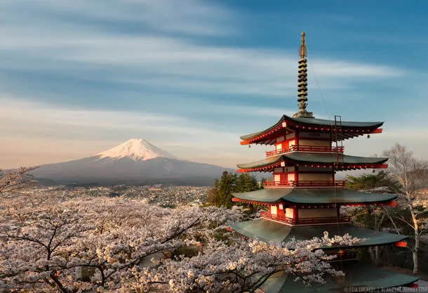 日本阁楼樱花海报背景免抠背景卡通/手绘元素