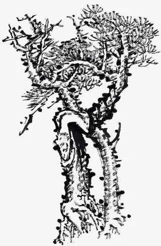 手绘水墨树木免抠