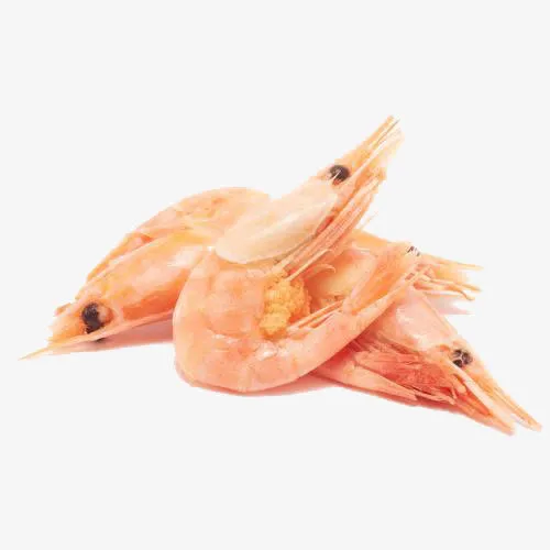 加拿大牡丹虾免抠