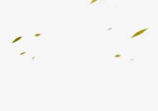 绿叶漂浮素材飞溅绿叶免抠