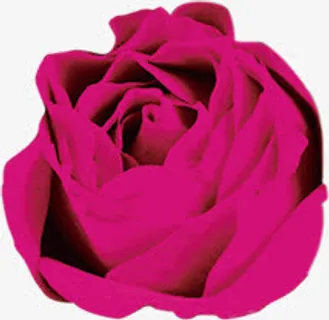 枚红色玫瑰展板设计免抠