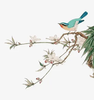 水墨梅花小鸟设计免抠