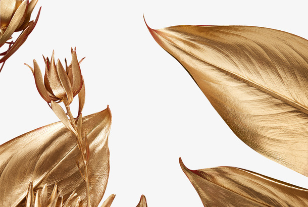 金色叶子元素免抠