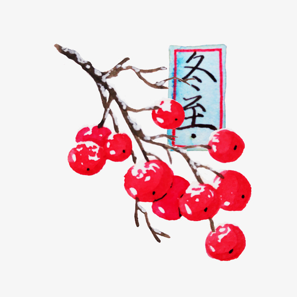 彩绘冬至红色果实免抠