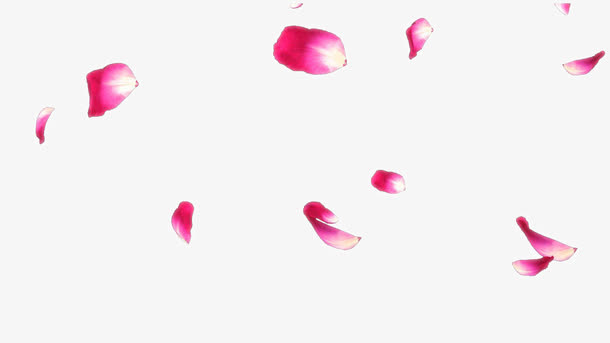 浪漫飘花免抠