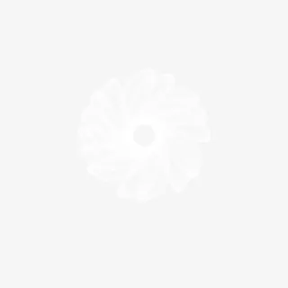 唯美白色小花 植物素材元素免抠