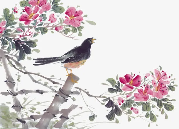 鸟在枝头免抠