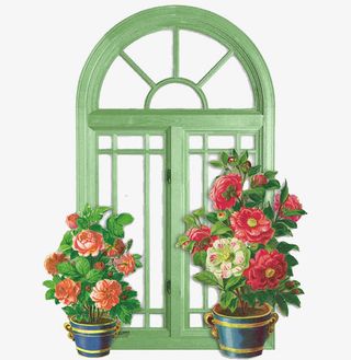 绿色装饰窗户免抠