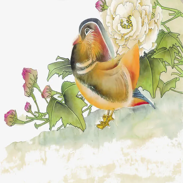 花鸟图免抠