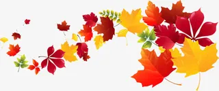 飘散的枫叶免抠