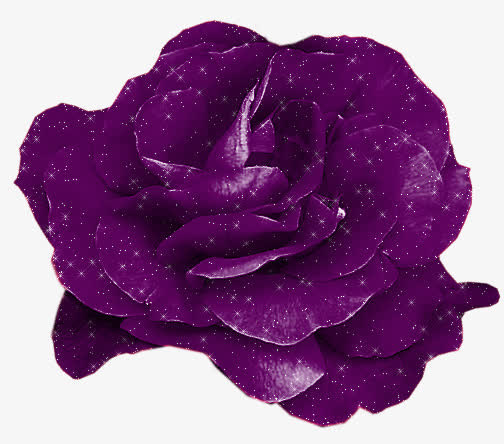 手绘花卉素材花卉矢量图素材免抠