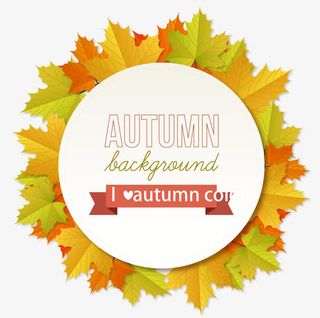 扁平树叶装饰边框背景