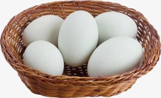 编织框装白色土鸭蛋免抠