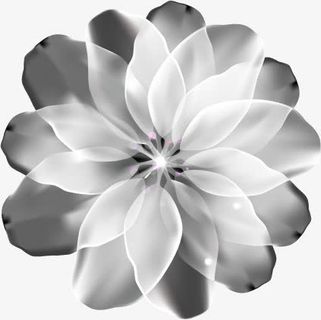 灰色高清手绘花朵免抠