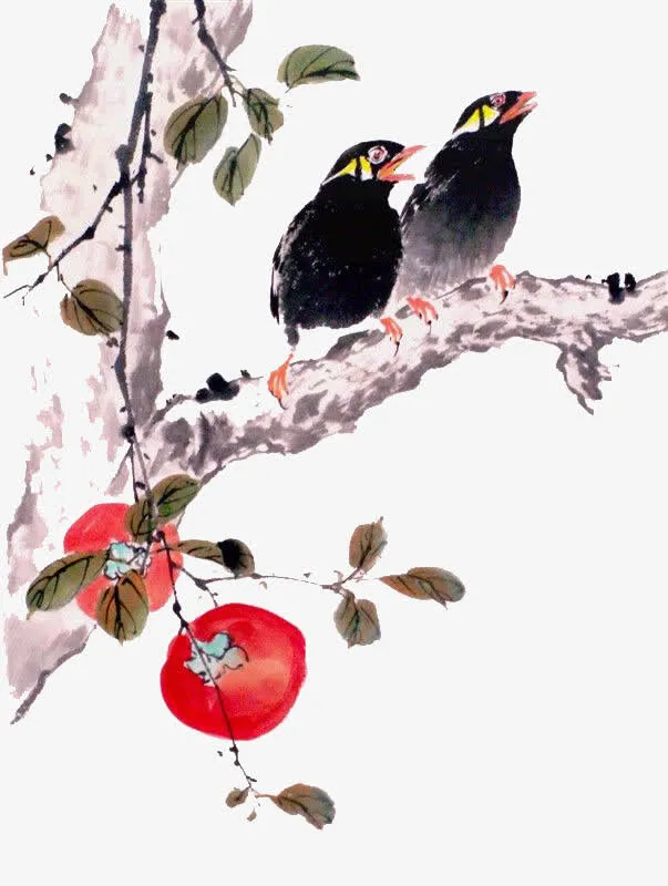 手绘乌鸦免抠