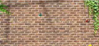 背景墙创意图片免抠