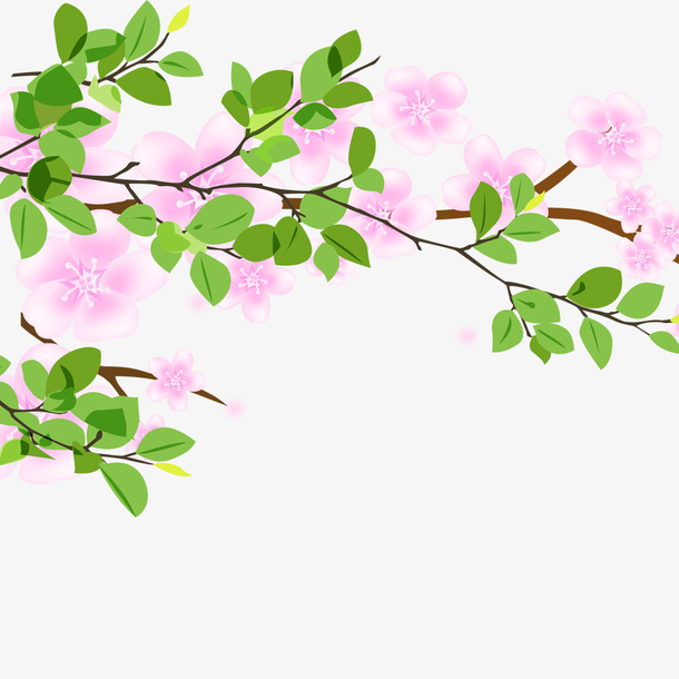 树枝树叶免抠