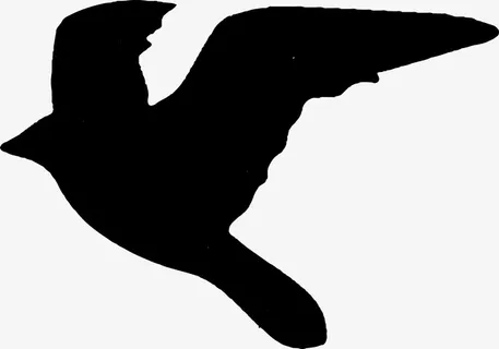 飞鸟黑色剪影免抠