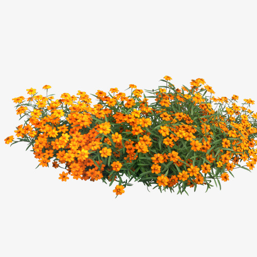 花免抠