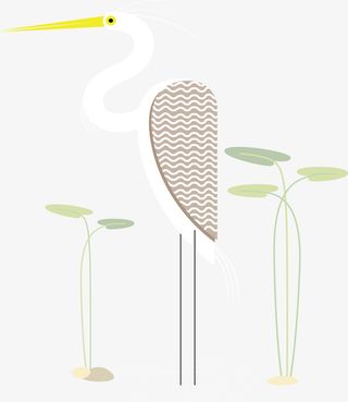 夏天小清新卡通白鹭免抠