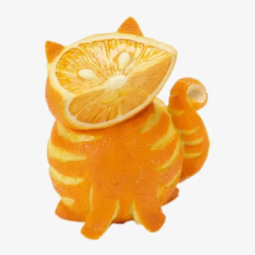 香橙小猫免抠