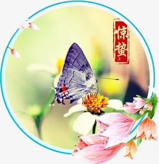 二十四节气惊蛰免抠