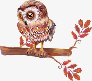 矢量手绘站在树枝上的猫头鹰免抠