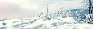 冬天雪景banner创意设计高清