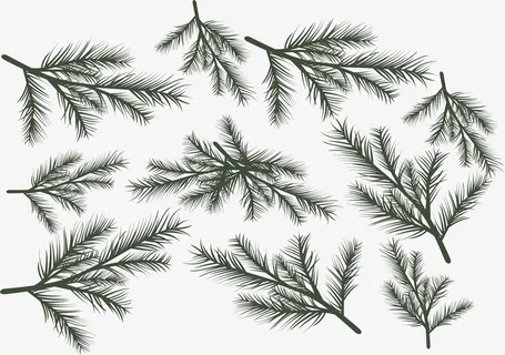 复古风圣诞松树枝花纹免抠