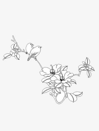 花在从中笑免抠