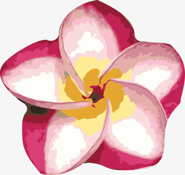 水彩手绘花卉五瓣花朵免抠