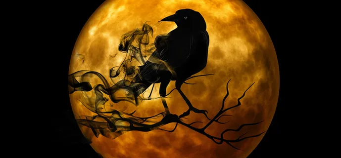 万圣节 背景高清