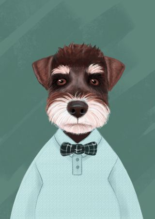 手绘卡通雪纳瑞狗狗背景高清